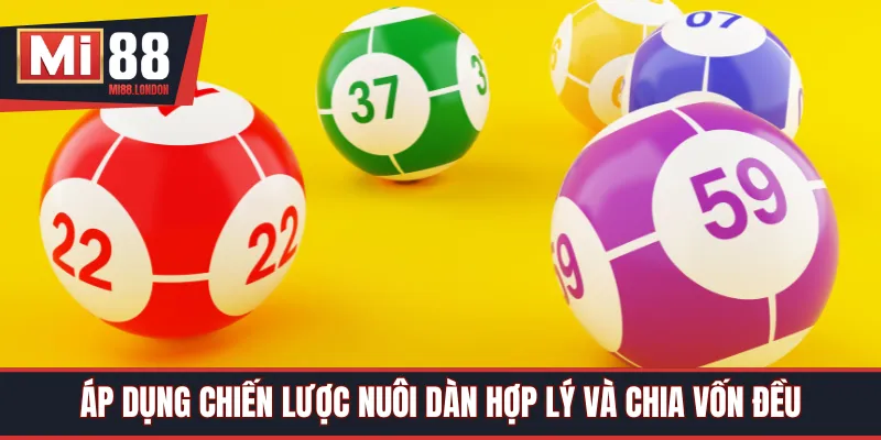 Áp dụng chiến lược nuôi dàn hợp lý và chia vốn đều