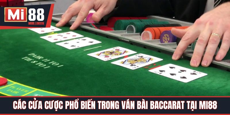 Các cửa cược phổ biến trong ván bài Baccarat tại Mi88