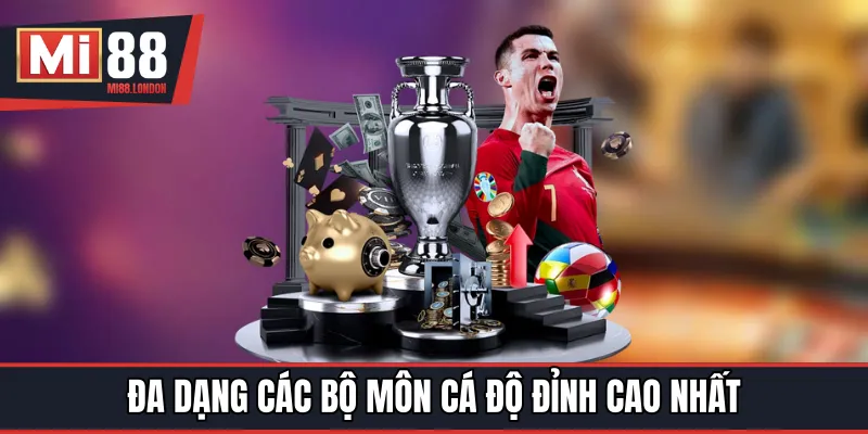 Đa dạng các bộ môn cá độ đỉnh cao nhất