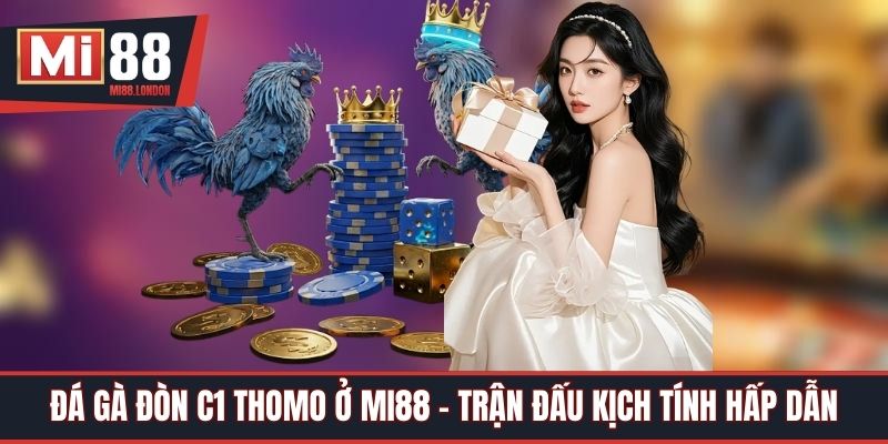 Đá Gà Đòn C1 Thomo Ở Mi88 - Trận Đấu Kịch Tính Hấp Dẫn