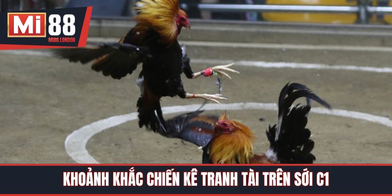 Khoảnh khắc chiến kê tranh tài trên sới C1