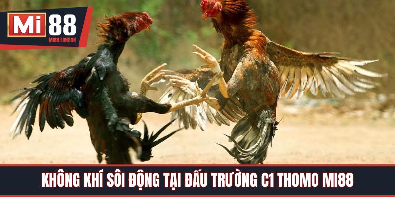 Không khí sôi động tại đấu trường C1 Thomo Mi88