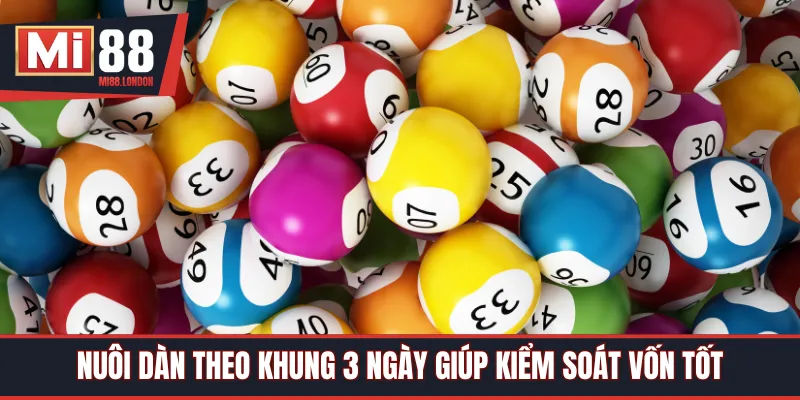 Nuôi dàn theo khung 3 ngày giúp kiểm soát vốn tốt