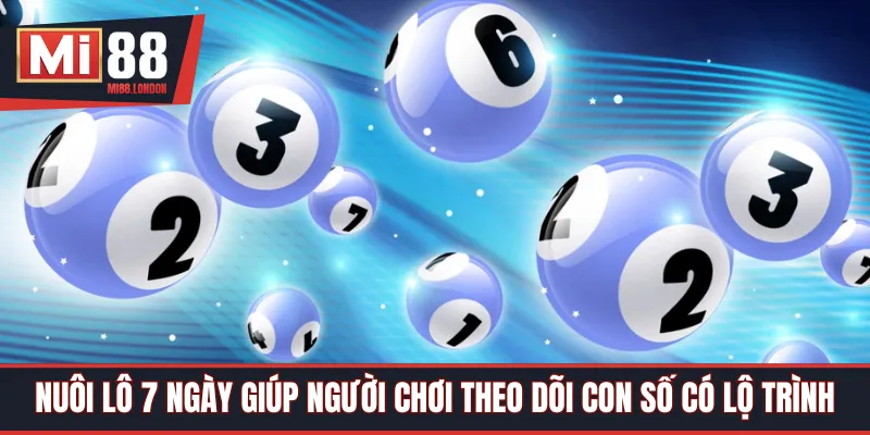 Nuôi lô 7 ngày giúp người chơi theo dõi con số có lộ trình