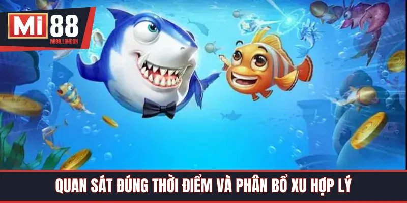 Quan sát đúng thời điểm và phân bổ xu hợp lý