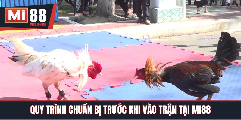 Quy trình chuẩn bị trước khi vào trận tại Mi88