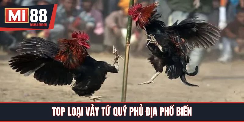 Top loại vảy tứ quý phủ địa phổ biến