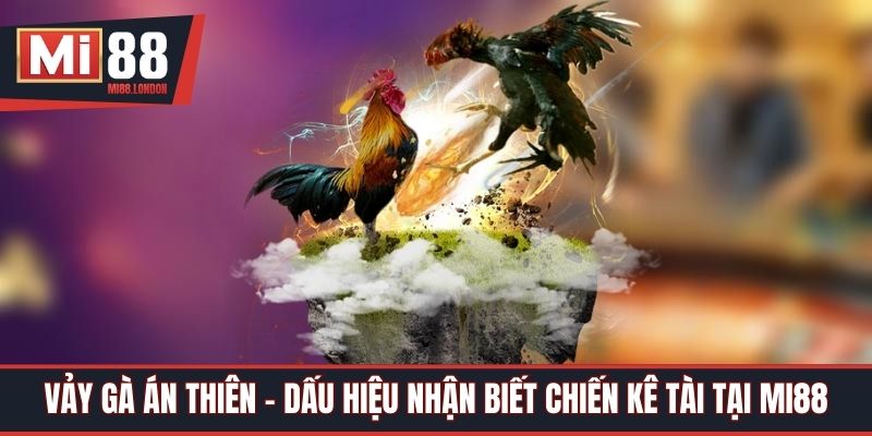 Vảy Gà Án Thiên - Dấu Hiệu Nhận Biết Chiến Kê Tài Tại Mi88