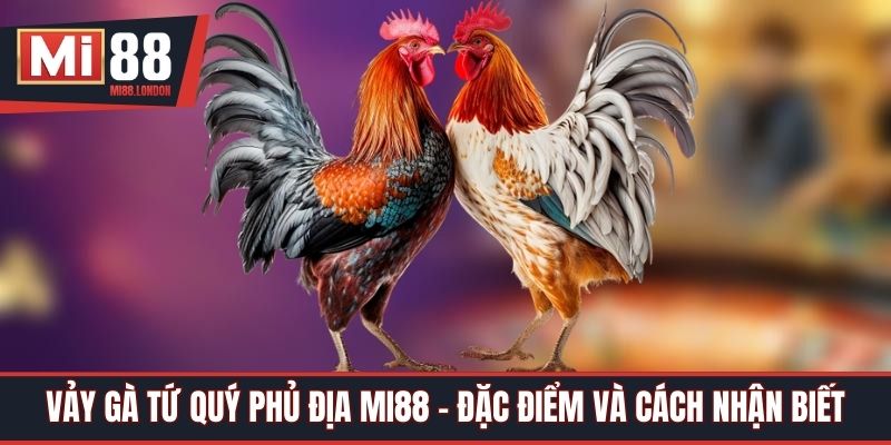 Vảy Gà Tứ Quý Phủ Địa Mi88 - Đặc Điểm Và Cách Nhận Biết